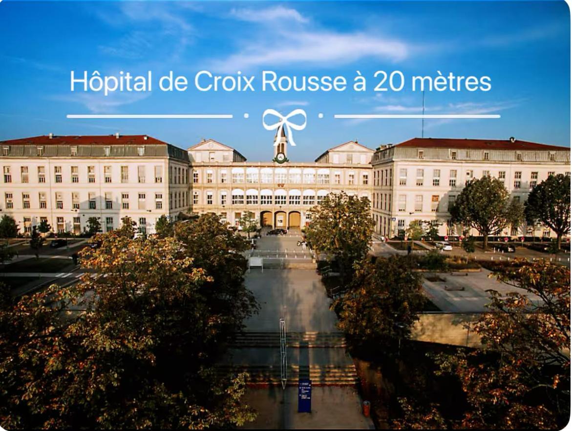 Art De Recevoir - L'Ecrin De Margnolles - Croix Rousse - Metro C-Cuire Caluire-et-Cuire Ngoại thất bức ảnh